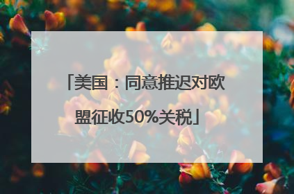 美国：同意推迟对欧盟征收50%关税