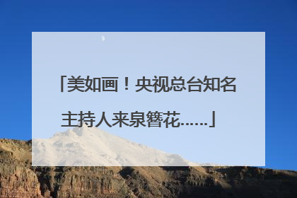 美如画！央视总台知名主持人来泉簪花……