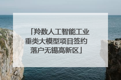 羚数人工智能工业垂类大模型项目签约落户无锡高新区