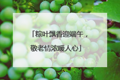 粽叶飘香迎端午，敬老情浓暖人心