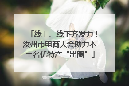 线上、线下齐发力！汝州市电商大会助力本土名优特产“出圈”