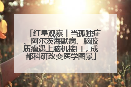 红星观察丨当孤独症、阿尔茨海默病、脑胶质瘤遇上脑机接口，成都科研改变医学图景