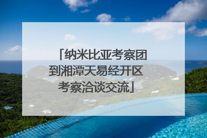 纳米比亚考察团到湘潭天易经开区考察洽谈交流