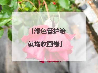 绿色管护绘就增收画卷
