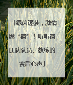 绿茵逐梦，激情燃“宿”！听听宿迁队队员、教练的赛后心声