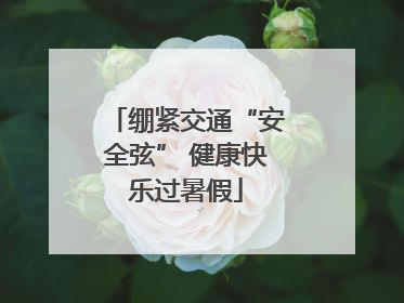 绷紧交通“安全弦” 健康快乐过暑假