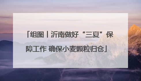 组图丨沂南做好“三夏”保障工作 确保小麦颗粒归仓