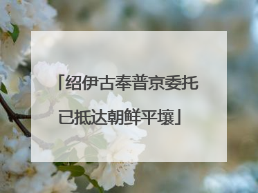 绍伊古奉普京委托已抵达朝鲜平壤
