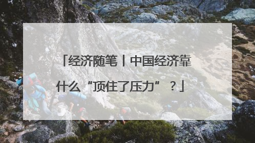 经济随笔丨中国经济靠什么“顶住了压力”？