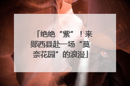 绝绝“紫”！来郧西县赴一场“莫奈花园”的浪漫