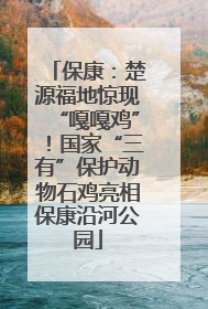 保康：楚源福地惊现“嘎嘎鸡”！国家“三有”保护动物石鸡亮相保康沿河公园