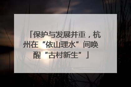 保护与发展并重，杭州在“依山理水”间唤醒“古村新生”