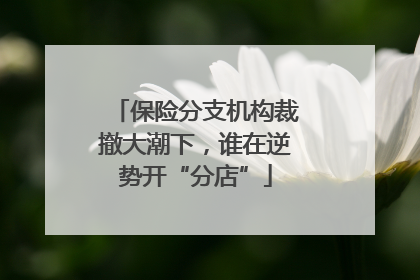 保险分支机构裁撤大潮下，谁在逆势开“分店”