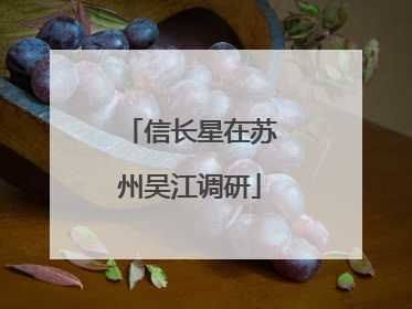 信长星在苏州吴江调研