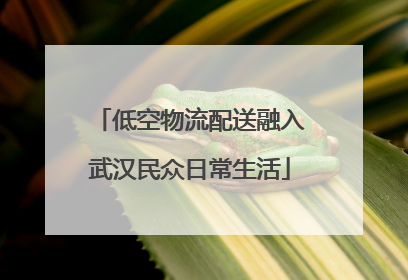 低空物流配送融入武汉民众日常生活