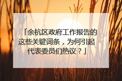 余杭区政府工作报告的这些关键词条，为何引起代表委员们热议？