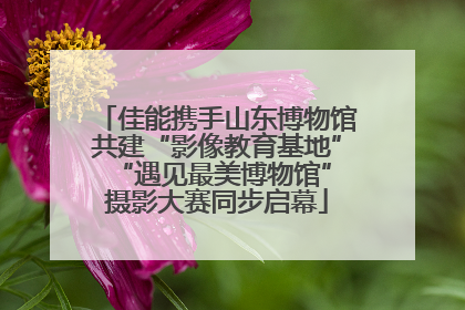 佳能携手山东博物馆共建“影像教育基地” “遇见最美博物馆”摄影大赛同步启幕