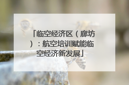 临空经济区（廊坊）：航空培训赋能临空经济新发展