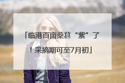 临港百亩桑葚“紫”了！采摘期可至7月初
