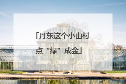 丹东这个小山村点“绿”成金