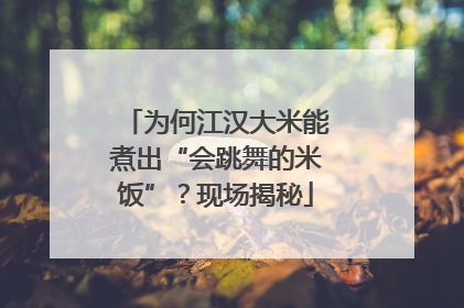 为何江汉大米能煮出“会跳舞的米饭”？现场揭秘