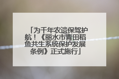 为千年农遗保驾护航！《丽水市青田稻鱼共生系统保护发展条例》正式施行