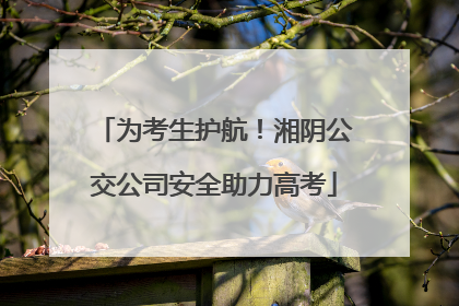 为考生护航！湘阴公交公司安全助力高考