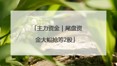 主力资金｜尾盘资金大幅抢筹2股