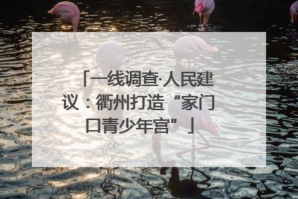 一线调查·人民建议：衢州打造“家门口青少年宫”