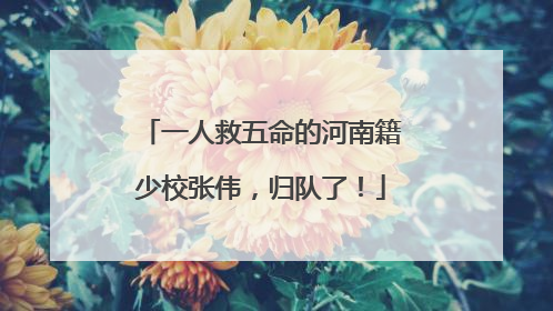 一人救五命的河南籍少校张伟，归队了！