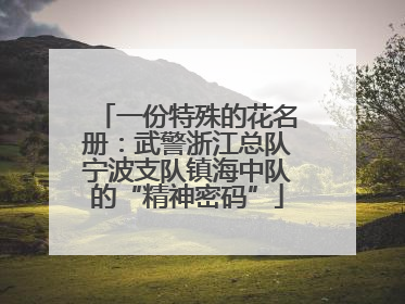 一份特殊的花名册：武警浙江总队宁波支队镇海中队的“精神密码”