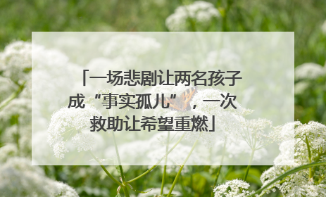 一场悲剧让两名孩子成“事实孤儿”，一次救助让希望重燃
