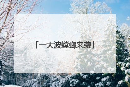 一大波螳螂来袭