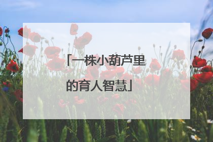一株小葫芦里的育人智慧