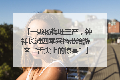 一颗杨梅旺三产，钟祥长滩四季采摘带给游客“舌尖上的惊喜”