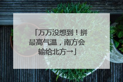 万万没想到！拼最高气温，南方会输给北方→