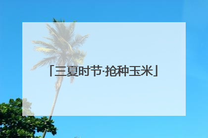 三夏时节·抢种玉米