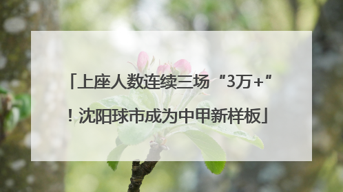 上座人数连续三场“3万+”！沈阳球市成为中甲新样板