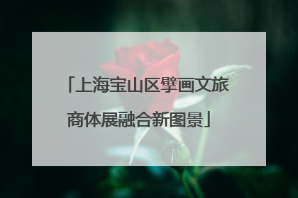 上海宝山区擘画文旅商体展融合新图景