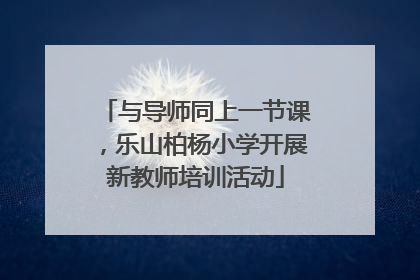 与导师同上一节课，乐山柏杨小学开展新教师培训活动