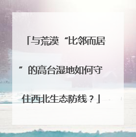 与荒漠“比邻而居”的高台湿地如何守住西北生态防线？