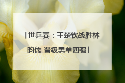 世乒赛：王楚钦战胜林昀儒 晋级男单四强