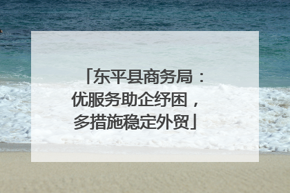 东平县商务局：优服务助企纾困，多措施稳定外贸