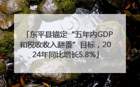 东平县锚定“五年内GDP和税收收入翻番”目标，2024年同比增长5.8%