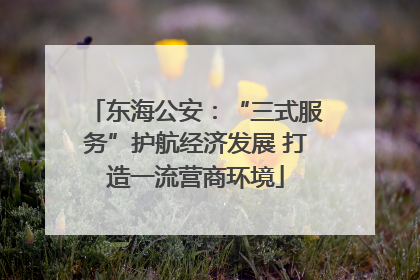 东海公安：“三式服务”护航经济发展 打造一流营商环境