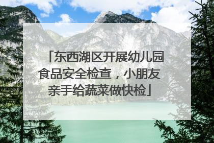 东西湖区开展幼儿园食品安全检查，小朋友亲手给蔬菜做快检