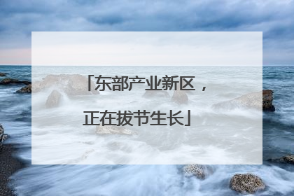 东部产业新区，正在拔节生长