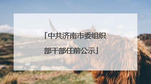 中共济南市委组织部干部任前公示