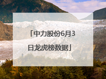 中力股份6月3日龙虎榜数据