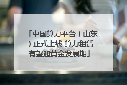 中国算力平台（山东）正式上线 算力租赁有望迎黄金发展期